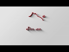 เครื่องทําความสะอาดสวีด HY-353